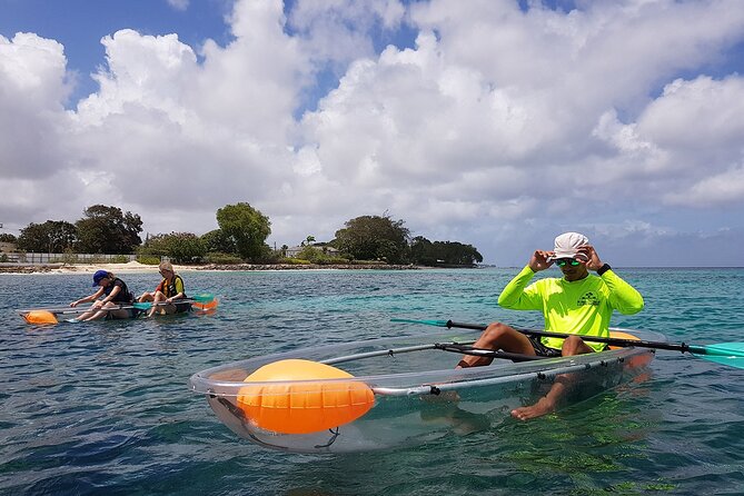 Folkestone Coral Reef Clear Kayak Tour - How much value do you get for $53.29?