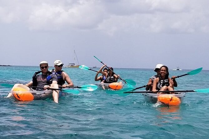Folkestone Coral Reef Clear Kayak Tour - Weather, visibility, and the real-world trade-offs