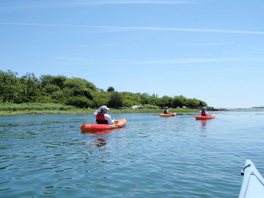 Fort Myers: Guided Kayak or SUP Tour in Pelican Bay - A soft start on the waters of Fort Myers Beach