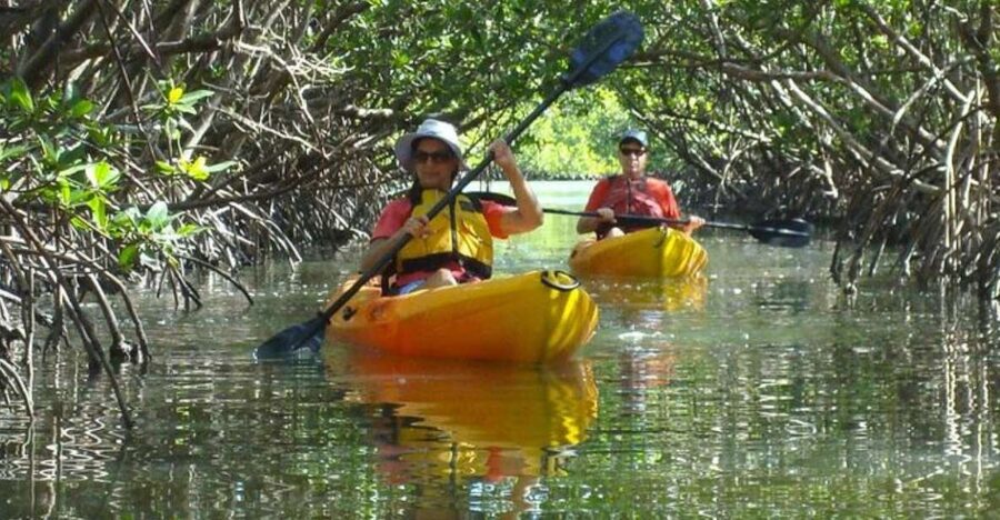 Fort Myers: Guided Kayak or SUP Tour in Pelican Bay - What the guided hour feels like