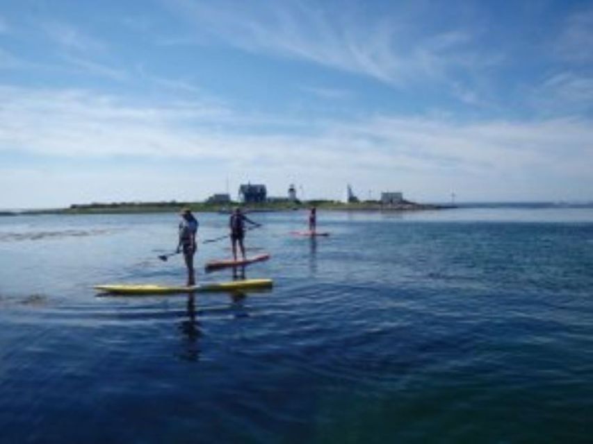Fort Myers: Guided Kayak or SUP Tour in Pelican Bay - Is $60 good value for one hour?