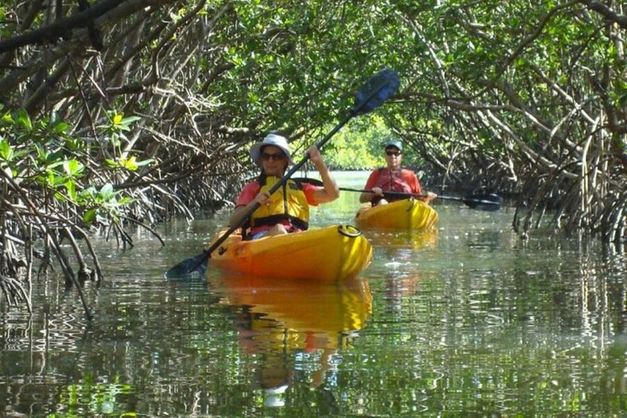 Fort Myers: Guided Kayak or SUP Tour in Pelican Bay - Moving through Pelican Bay’s mangroves