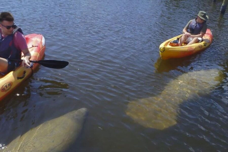 Fort Myers: Guided Kayaking Eco Tour in Pelican Bay - What the three-hour route feels like