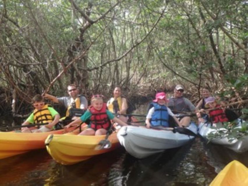 Fort Myers: Guided Kayaking Eco Tour in Pelican Bay - Mangroves and shallow bays at paddle speed