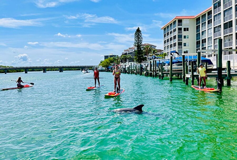Fort Myers: Guided Standup Paddleboarding or Kayaking Tour - Why the guide matters