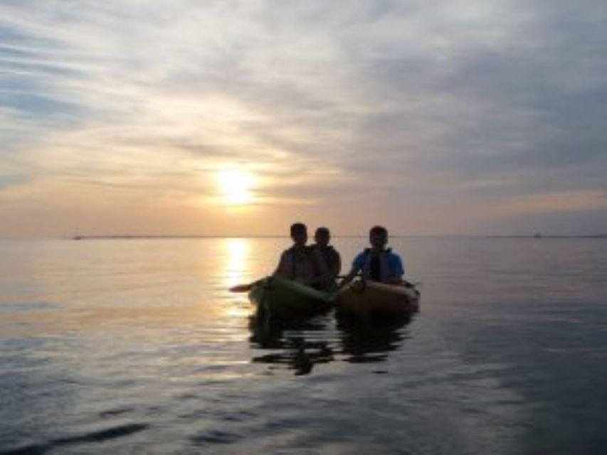Fort Myers: Guided Sunset Kayaking Tour through Pelican Bay - Key points to know before you paddle