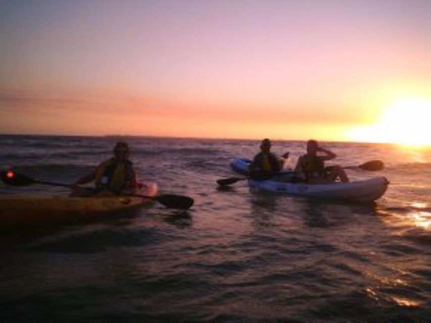 Fort Myers: Guided Sunset Kayaking Tour through Pelican Bay - Why Pelican Bay works so well at sunset