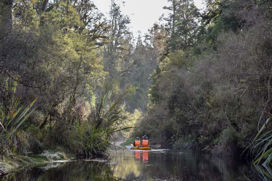 Franz Josef: 3-Hour Kayak Tour on Lake Mapourika - Who will enjoy this kayaking tour most