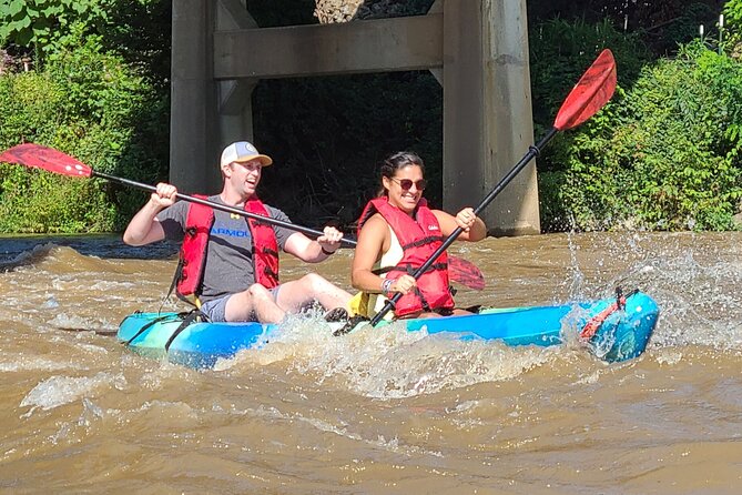 French Broad River Kayak Tour in Asheville - A quiet way to see Asheville from the water