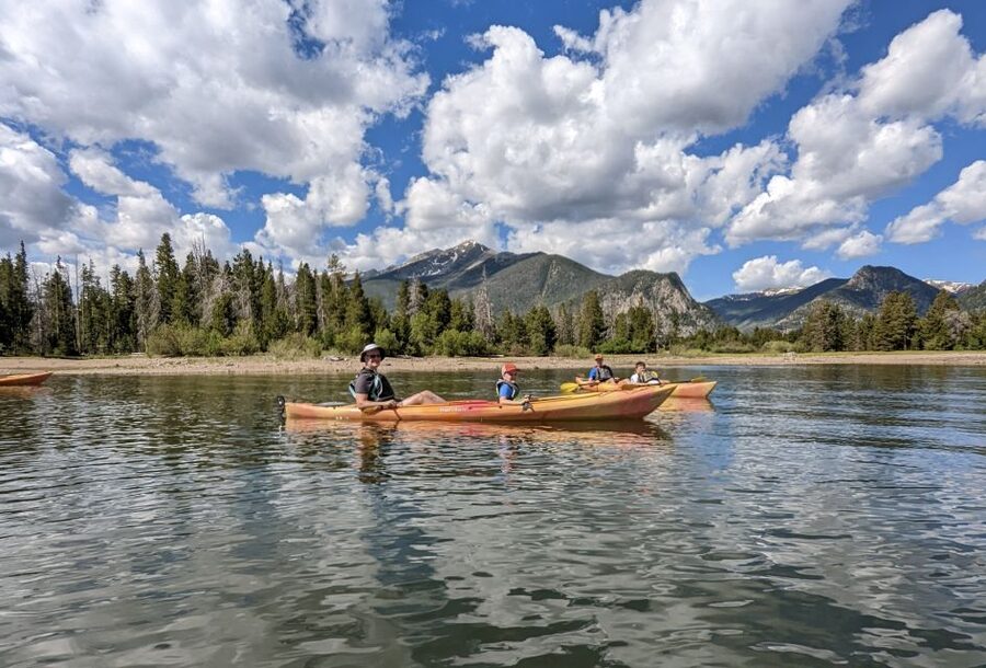 Frisco: Dillon Reservoir Guided Island Tour by Kayak - Herons along the northern banks