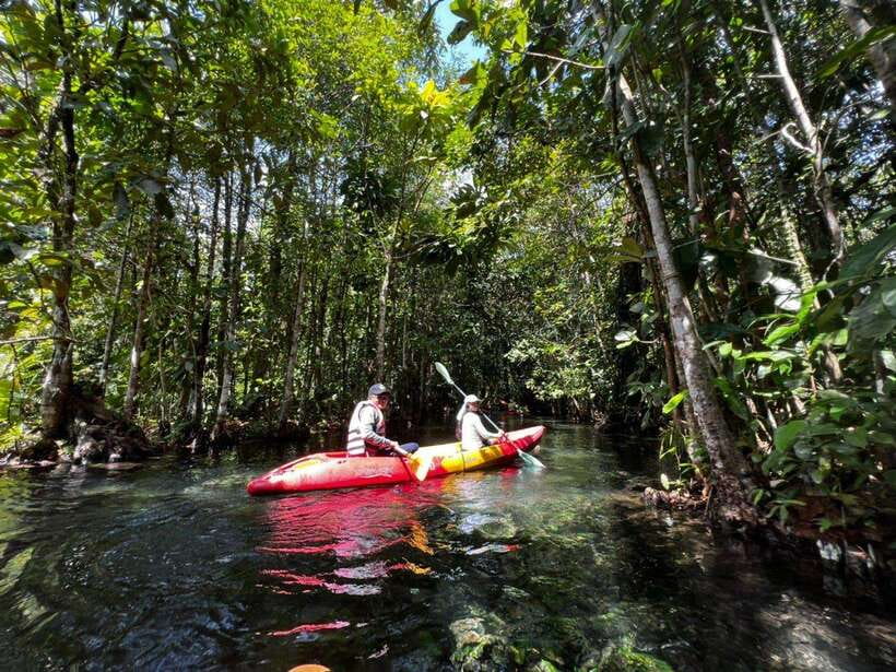 From Ao Nang: Kayaking at Klong Rud with Hotel Transfers - Paddling through the forest channels