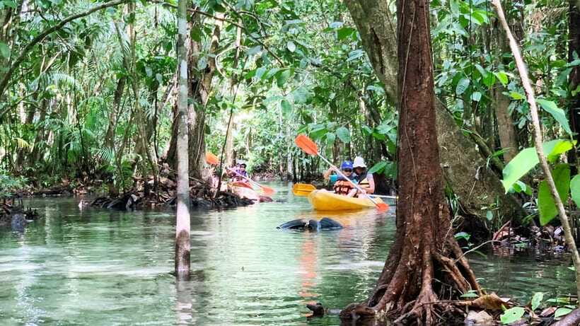 From Ao Nang: Kayaking at Klong Rud with Hotel Transfers - What to bring for a rain-or-shine trip