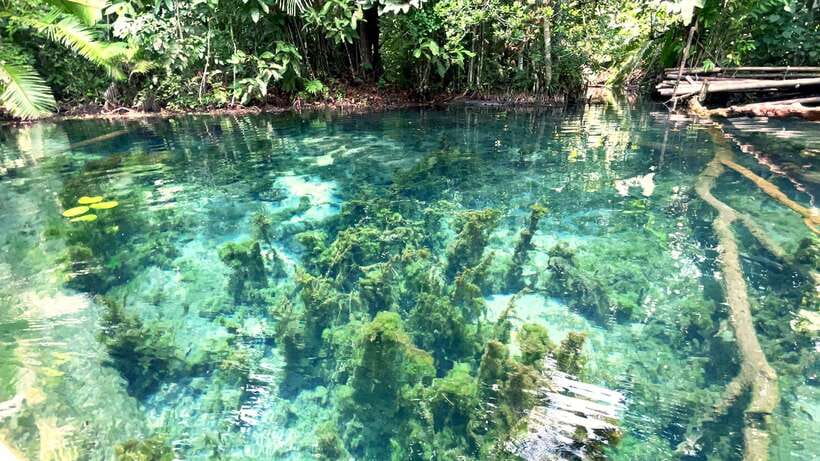 From Ao Nang: Kayaking at Klong Rud with Hotel Transfers - Who should book this outing?