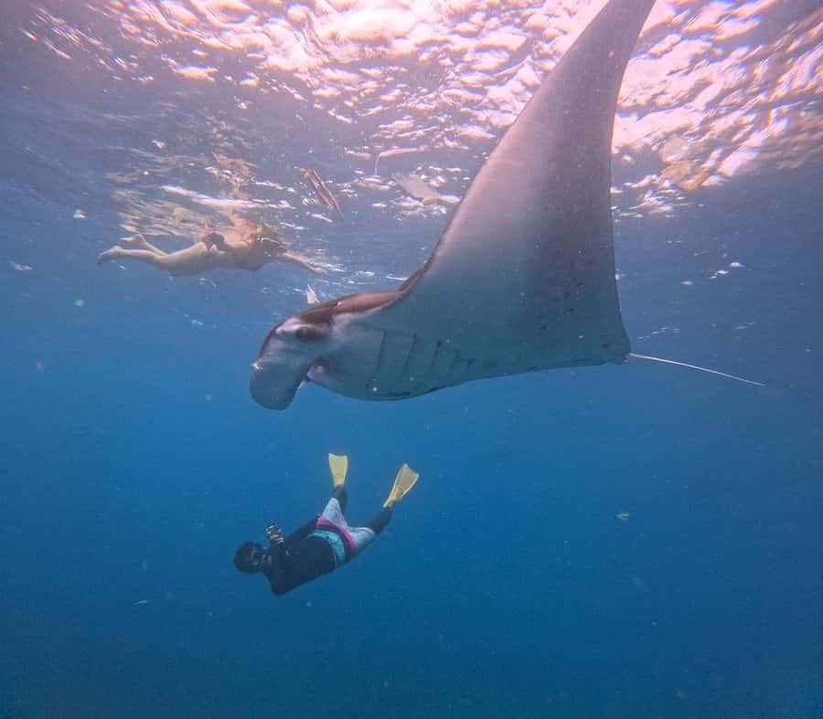 From Bali: Nusa Penida Snorkel 3 Spots w/ GoPro & Kayak tour - What the water time is really like