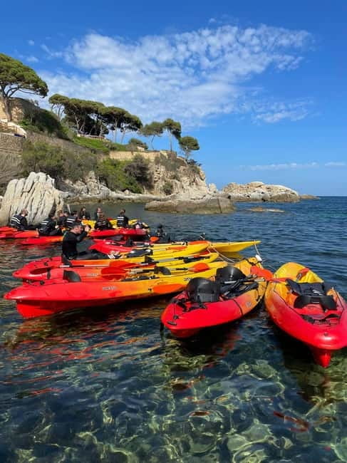 From Barcelona: Costa Brava Kayak & Snorkel Tour with Picnic - Snorkeling above fish and sea life