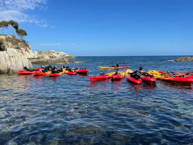 From Barcelona: Costa Brava Kayak & Snorkel Tour with Picnic - Who should book this experience?