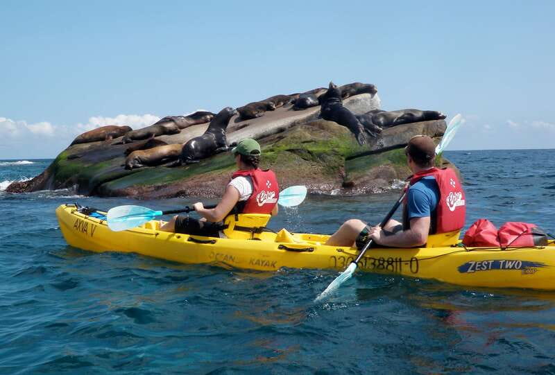 From Cabo: Cabo Pulmo Marine Park Snorkeling and Kayaking - Booking details that matter