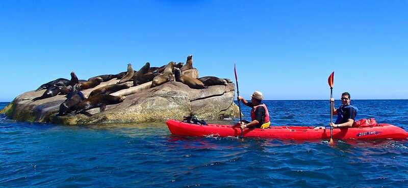 From Cabo: Cabo Pulmo Marine Park Snorkeling and Kayaking - What the $230 price really covers