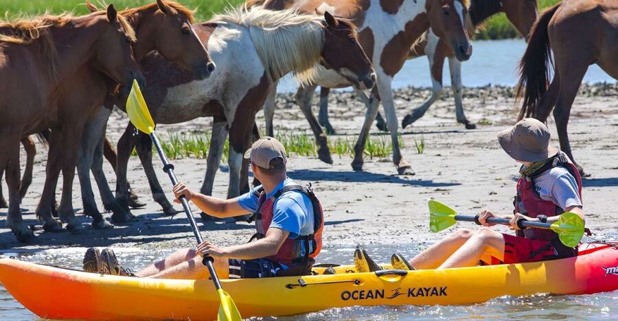 From Chincoteague: Guided Kayak Tour to Assateague Island - Starting beside Chincoteague’s kayak launch