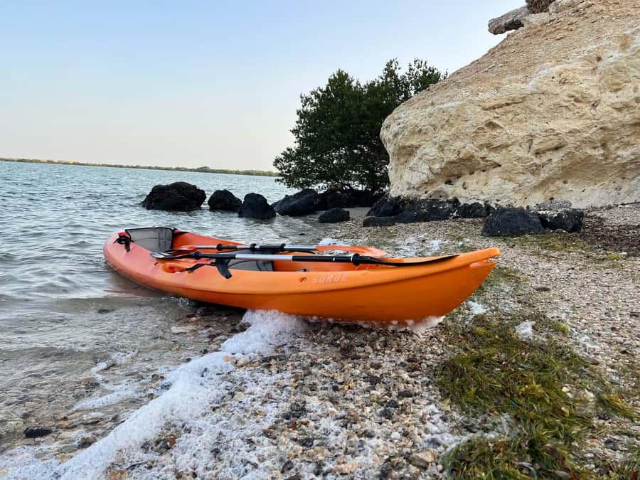 From Doha: Mangroves Kayaking Adventure - Paddling through Al Thakira’s mangrove forest
