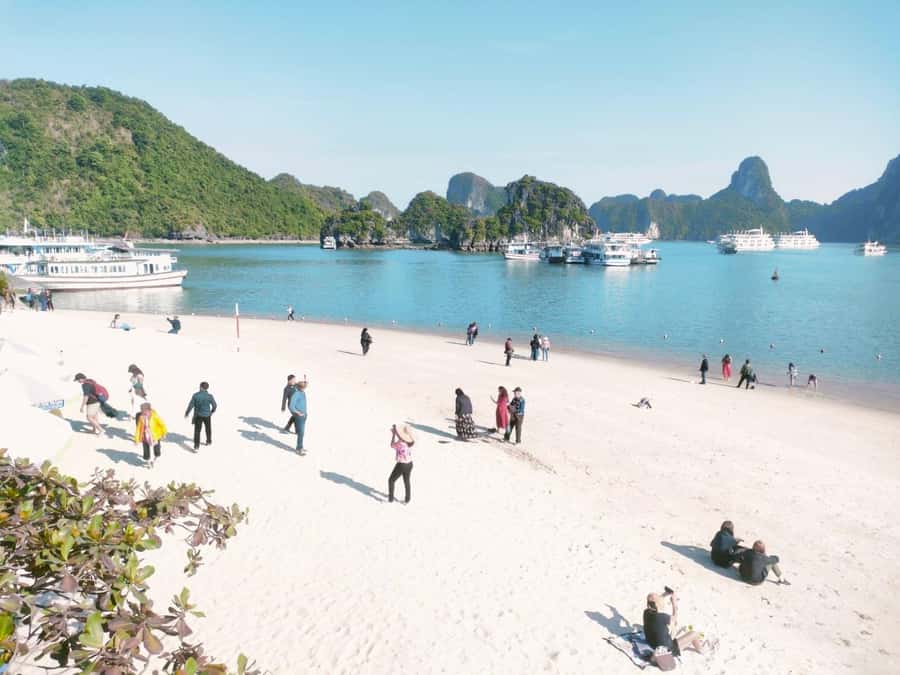 From Hanoi: Ha Long Bay Luxury Day Cruise with Food & Kayak - Titop Island for a climb, a swim, or both