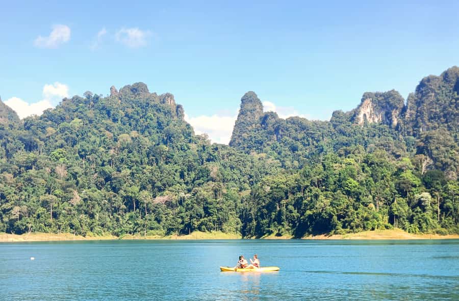 From Khao Lak: Khao Sok & Cheow Lan Lake Tour with Kayaking - The afternoon search for elephants and other wildlife