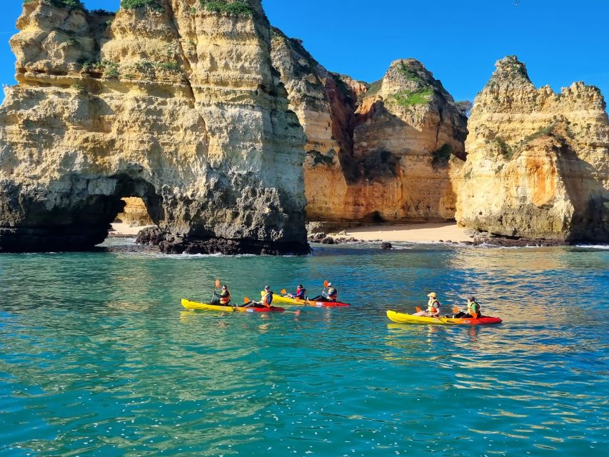 From Lagos: Kayak Experience in Ponta da Piedade - Key points at a glance