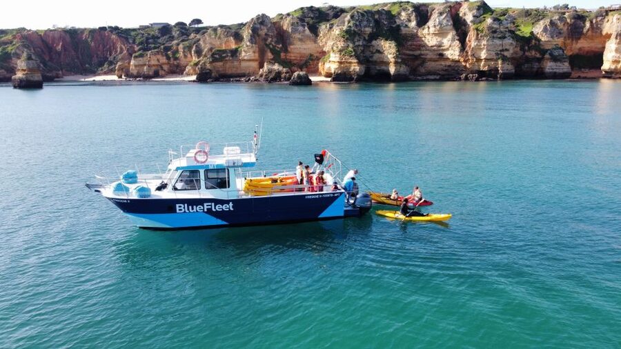 From Lagos: Kayak Experience in Ponta da Piedade - Who should book this experience?