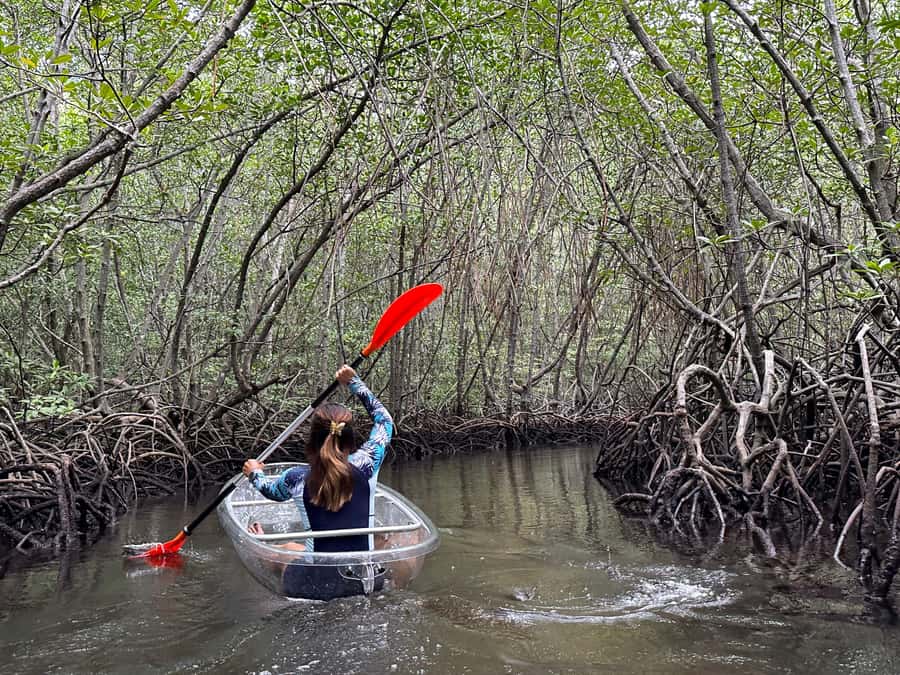 From Lembongan: Kayak/Paddleboard/Boat Mangrove Tour - A quiet start at Mangrove Point