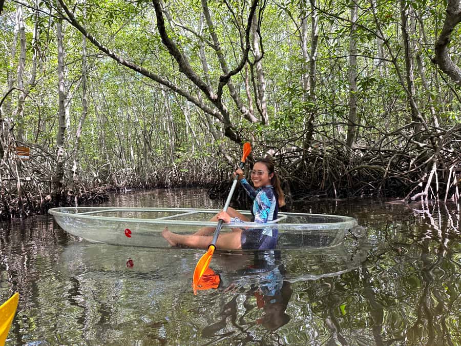 From Lembongan: Kayak/Paddleboard/Boat Mangrove Tour - Pickup, timing, and what to bring