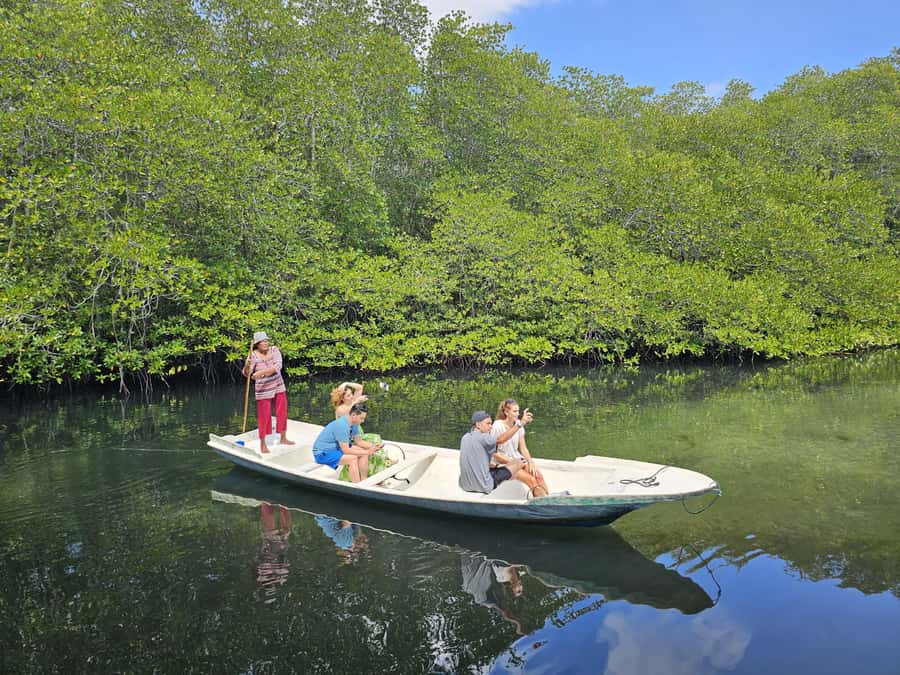 From Lembongan: Kayak/Paddleboard/Boat Mangrove Tour - Is the $10 price good value?