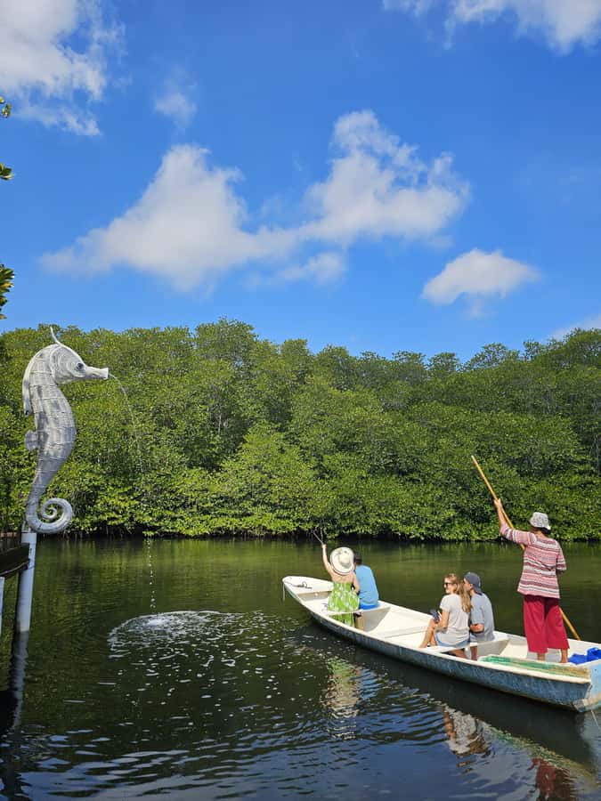 From Lembongan: Kayak/Paddleboard/Boat Mangrove Tour - Who should book this mangrove tour?