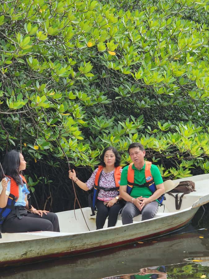 From Lembongan: Kayak/Paddleboard/Boat Mangrove Tour - Should you book it?
