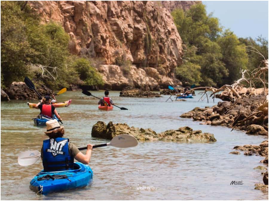 From Muscat: Al Qurum Beach Sunset Kayaking Experience - Paddling Along the Qurum Coast