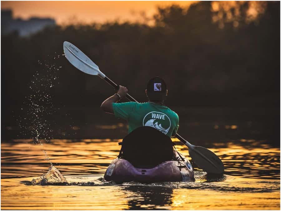 From Muscat: Al Qurum Beach Sunset Kayaking Experience - Turtles, Fish, Crabs, and Seabirds