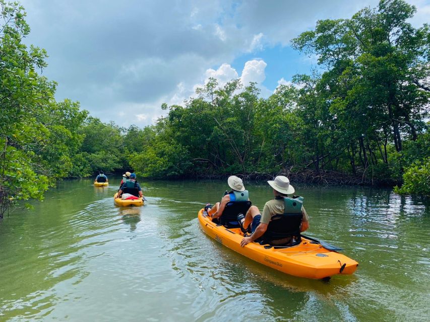 From Naples, FL: Marco Island Mangroves Kayak or Paddle Tour - The stop at Marco Island