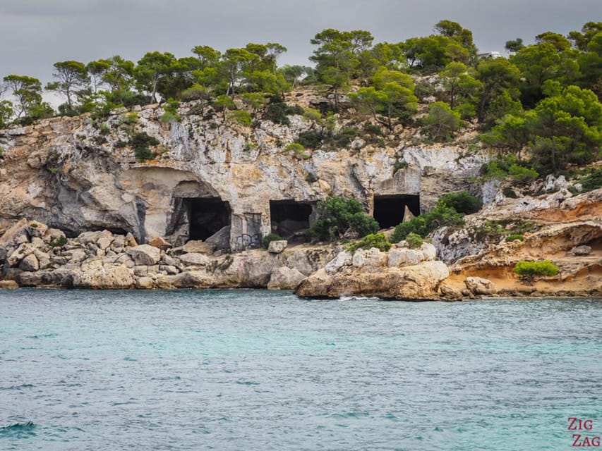 From Palma: Portal Vells Beach and Cave SUP & Snorkel Tour - Food, equipment, and the small details