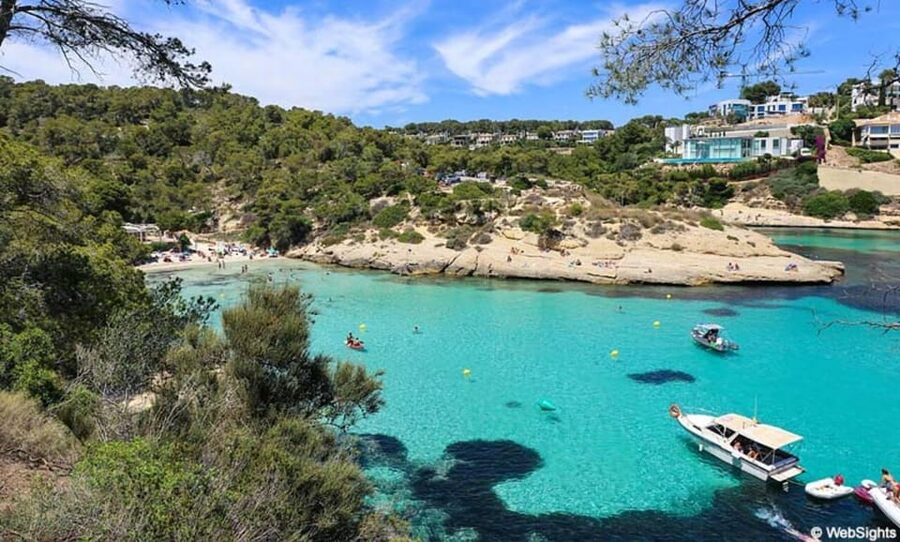 From Palma: Portal Vells Beach and Cave SUP & Snorkel Tour - The 30-minute van ride from Palma
