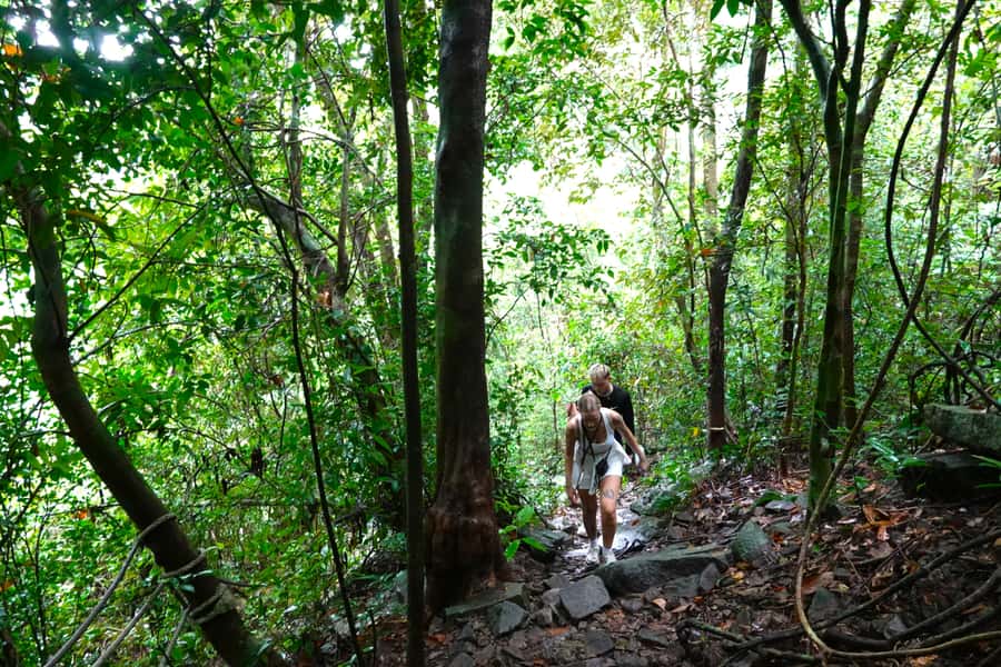 From Pattaya: Rayong Adventure Hike and Kayak Day Trip - Why this Rayong day trip is more than a standard Pattaya outing