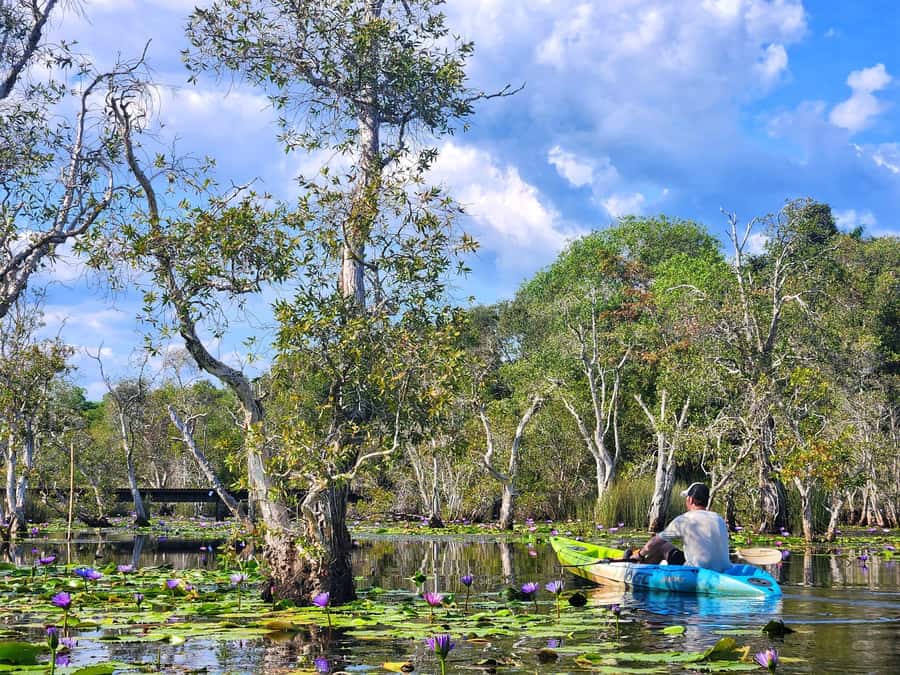 From Pattaya: Rayong Adventure Hike and Kayak Day Trip - A local lunch stop at Pak Nam Prasae