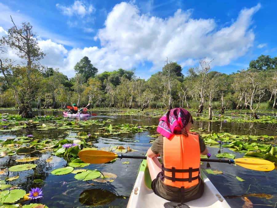 From Pattaya: Rayong Adventure Hike and Kayak Day Trip - Kayaking through the ancient Samet forest