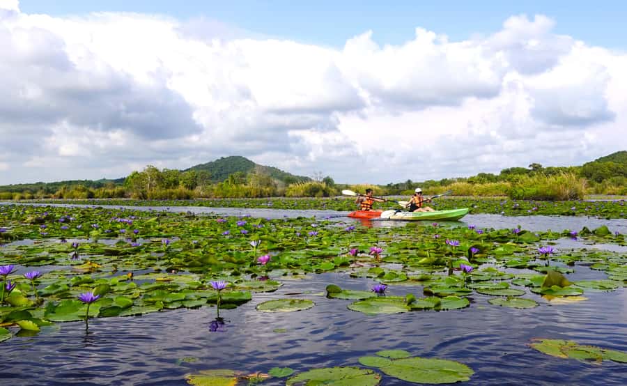 From Pattaya: Rayong Adventure Hike and Kayak Day Trip - Transport, timing, and what to pack