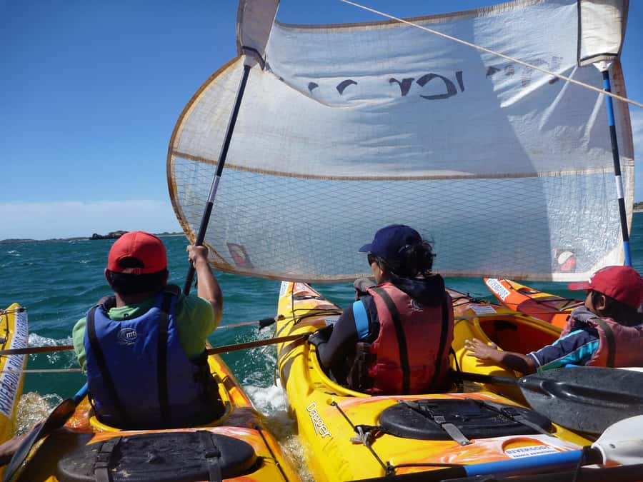 From Perth: Rockingham Seal & Penguin Islands Sea Kayak Tour - The island walk and its wildlife
