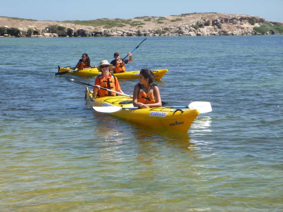 From Perth: Rockingham Seal & Penguin Islands Sea Kayak Tour - Who will enjoy this day most