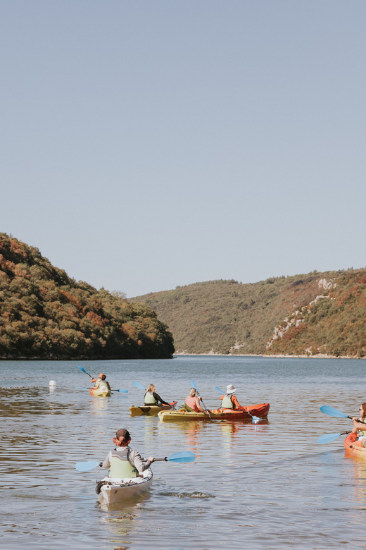 From Poreč: Lim Bay Sea Kayaking Day Trip - Key points to know before you book