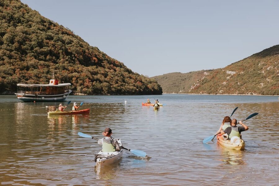 From Poreč: Lim Bay Sea Kayaking Day Trip - Oyster farms and the bay’s working side