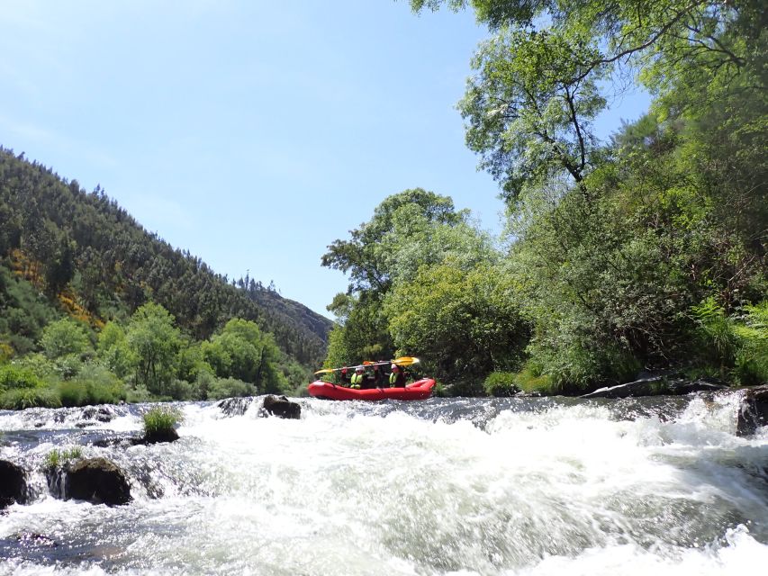 From Porto: Paiva River Canoe Rafting Adventure Tour - Is the $100 price good value?