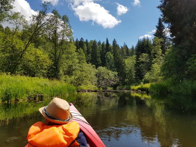 From Riga: Full-Day Scenic Gauja River Valley Kayaking Trip - Ronalds, local knowledge, and the improv-travel approach