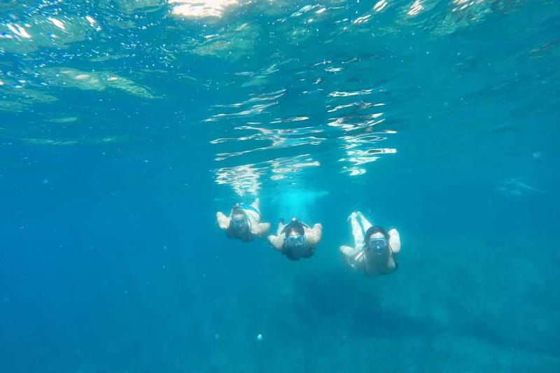From Sant Feliu de Guíxols: Kayak and Snorkel in Costa Brava - The 20-minute snorkeling stop