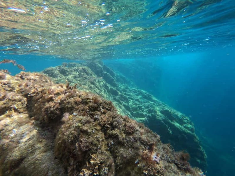 From Sant Feliu de Guíxols: Kayak and Snorkel in Costa Brava - What the $35 price really includes